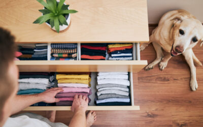 New Year, New Home: Easy Refresh Ideas for 2024