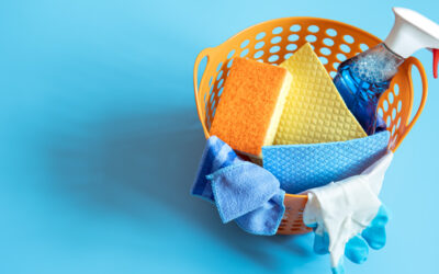 Healthy Home Habits for the New Year: Resolutions for a Cleaner Living Space