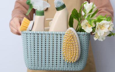 Spring Cleaning 101: A Comprehensive Guide to a Fresh Start