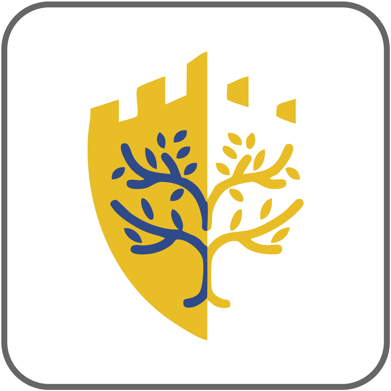 BLC® Governance